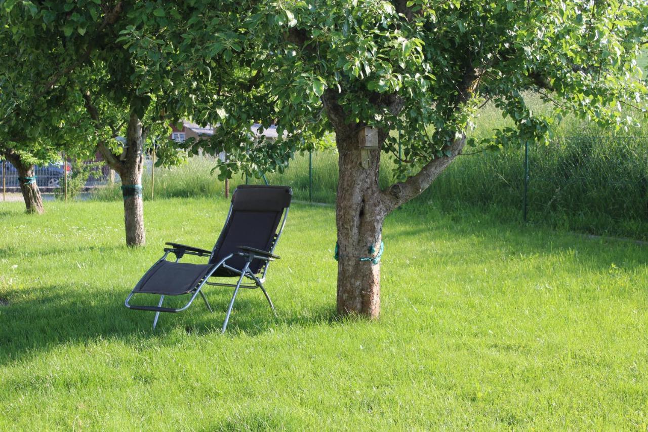 Ferienwohnung Am Kugelbaum Lunzenau Екстериор снимка